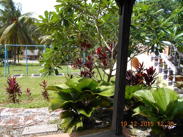 TAMANPEJABA12